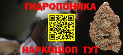 стафф Азнакаево