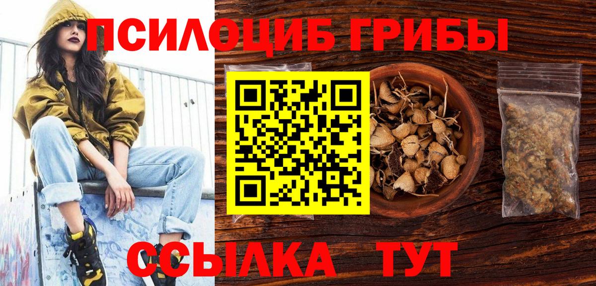 Александров  Галлюциногенные грибы MAGIC MUSHROOMS  Вход с VPN  Галлюциногенные грибы мухоморы 