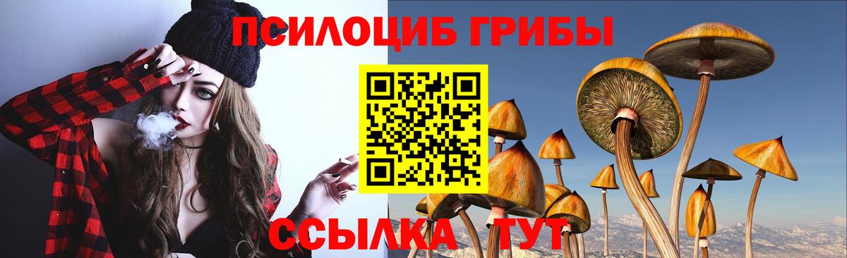 Галлюциногенные грибы ЛСД Александров