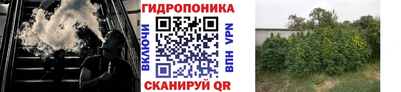 Каннабис план  omg онион  Александров 